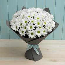 Букет цветов из:  Хризантемы в Борисовке Краснодарского края