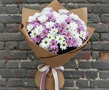 Букет цветов из:  Хризантемы #REPLACE_PRED# Борисовке Краснодарского края