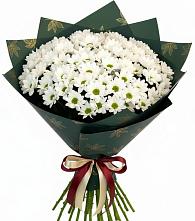 Букет цветов из:  Хризантемы #REPLACE_PRED# Борисовке Краснодарского края