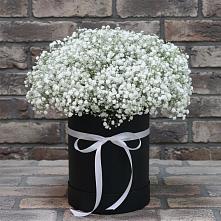 Цветочная композиция из Гипсофила в шляпной коробке #REPLACE_PRED# Борисовке Краснодарского края