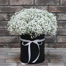 Цветочная композиция из Гипсофила в шляпной коробке в Борисовке Краснодарского края