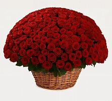 Премиум букет из: Розы в Борисовке Краснодарского края