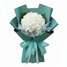 Букет цветов из:  Гортензия #REPLACE_PRED# Борисовке Краснодарского края